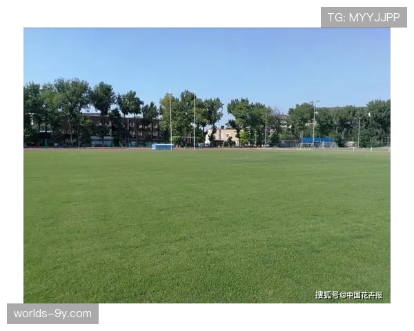 摩纳哥主场宣布测试新型草坪混合草种，旨在提升雨天场地抓地力